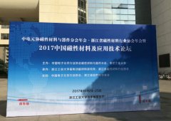 91视频网页版参加2017中国磁性材料及应用技术论坛